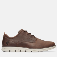 Timberland bradstreet low trainers