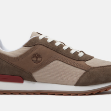 Timberland scout heights trainer